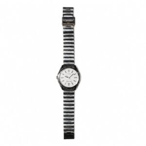 Classic Silver Roman Dial Watch